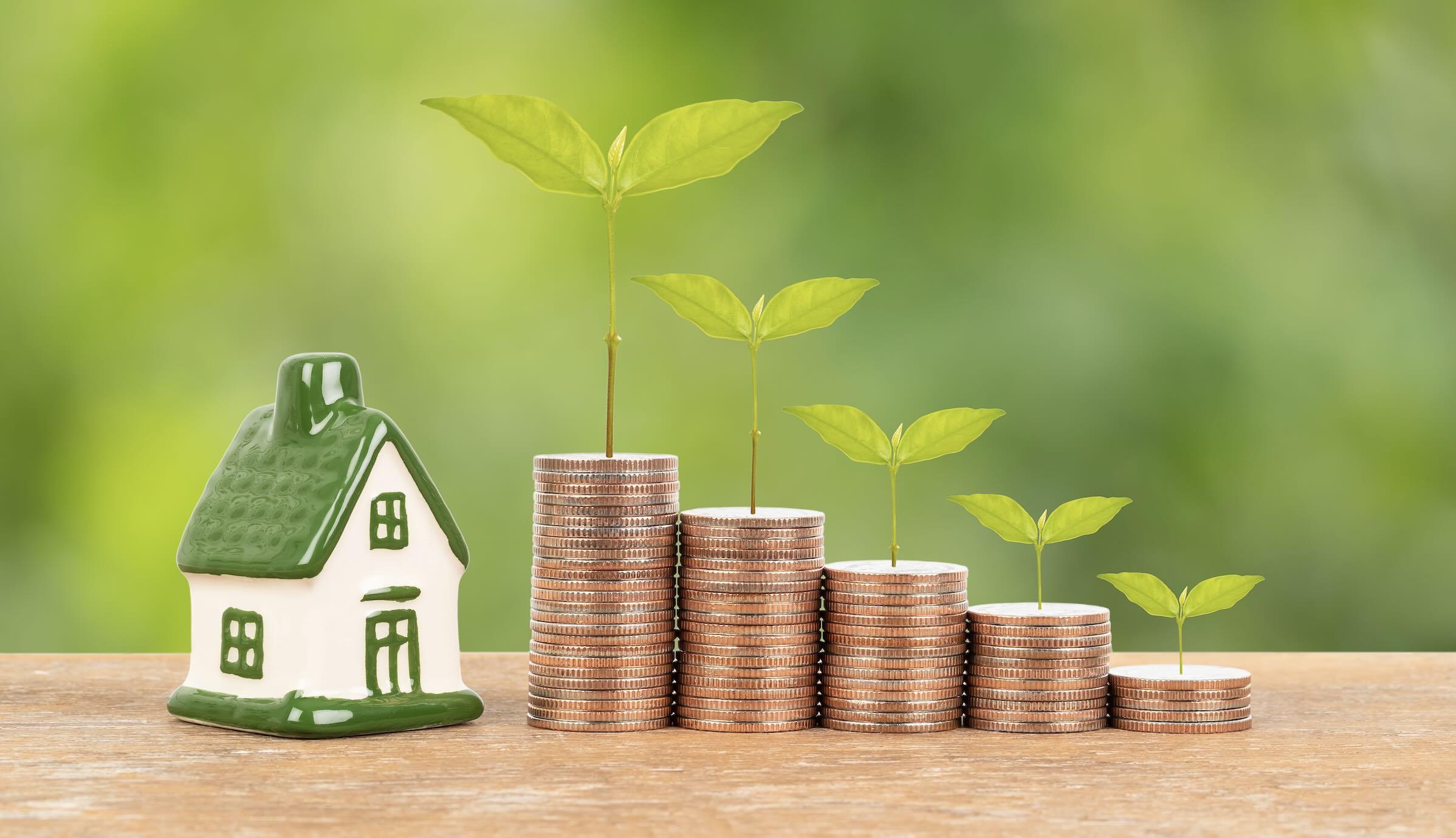 Investissement-pierre : Que choisir ?